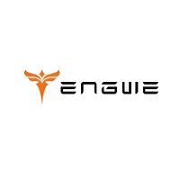 Engwe Coupons Codes