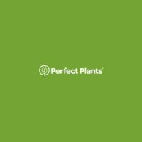 Perfect Plants