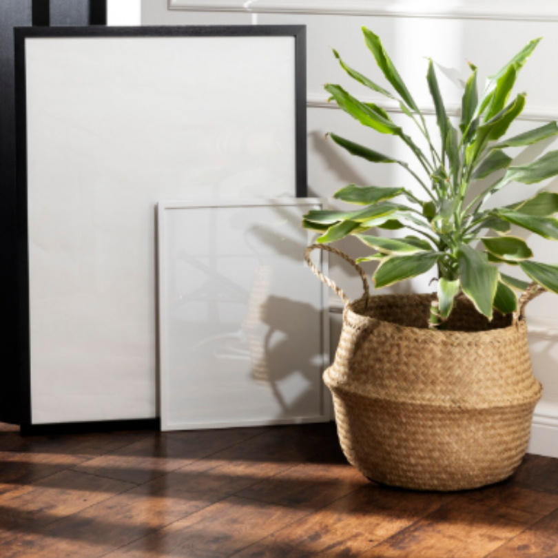 Elevate Your Home with Curated Art from Juniper Print Shop