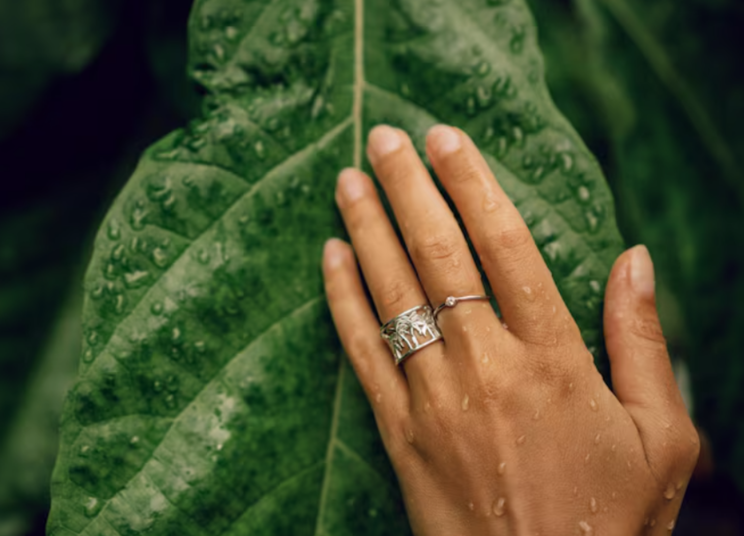 myoovi-cover-(1).jpg