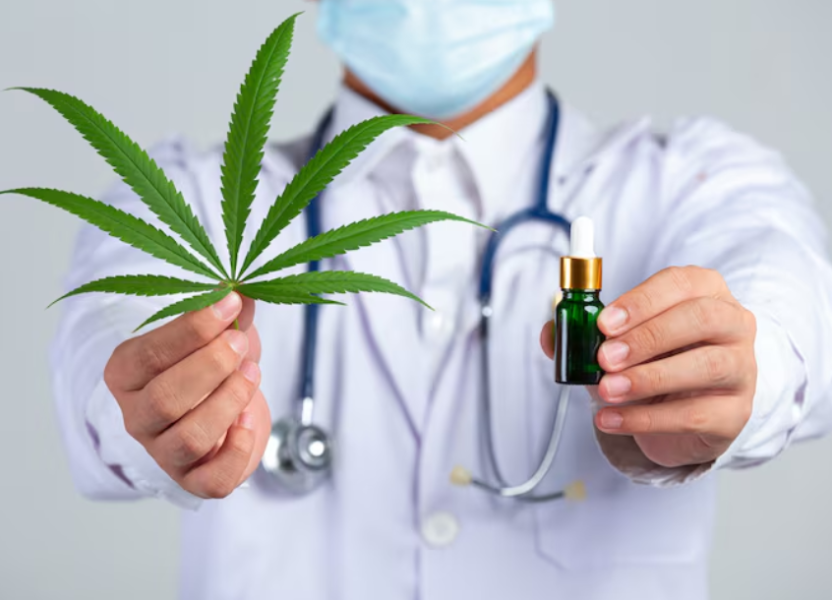 Best DNA Genetics Seeds: Top Cannabis Strains for Growers