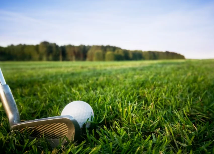 golf clubs
