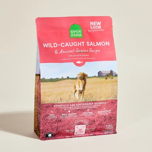 salmon dry dog food